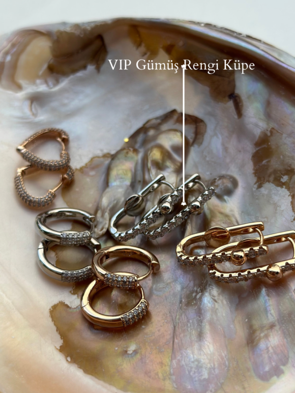 VIP Gümüş rengi küpe