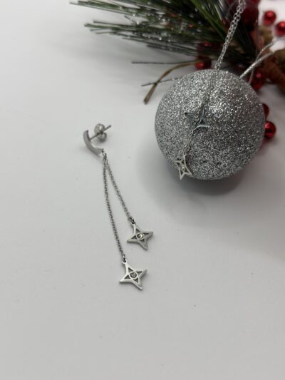 Silver Star Küpe - Görsel 2